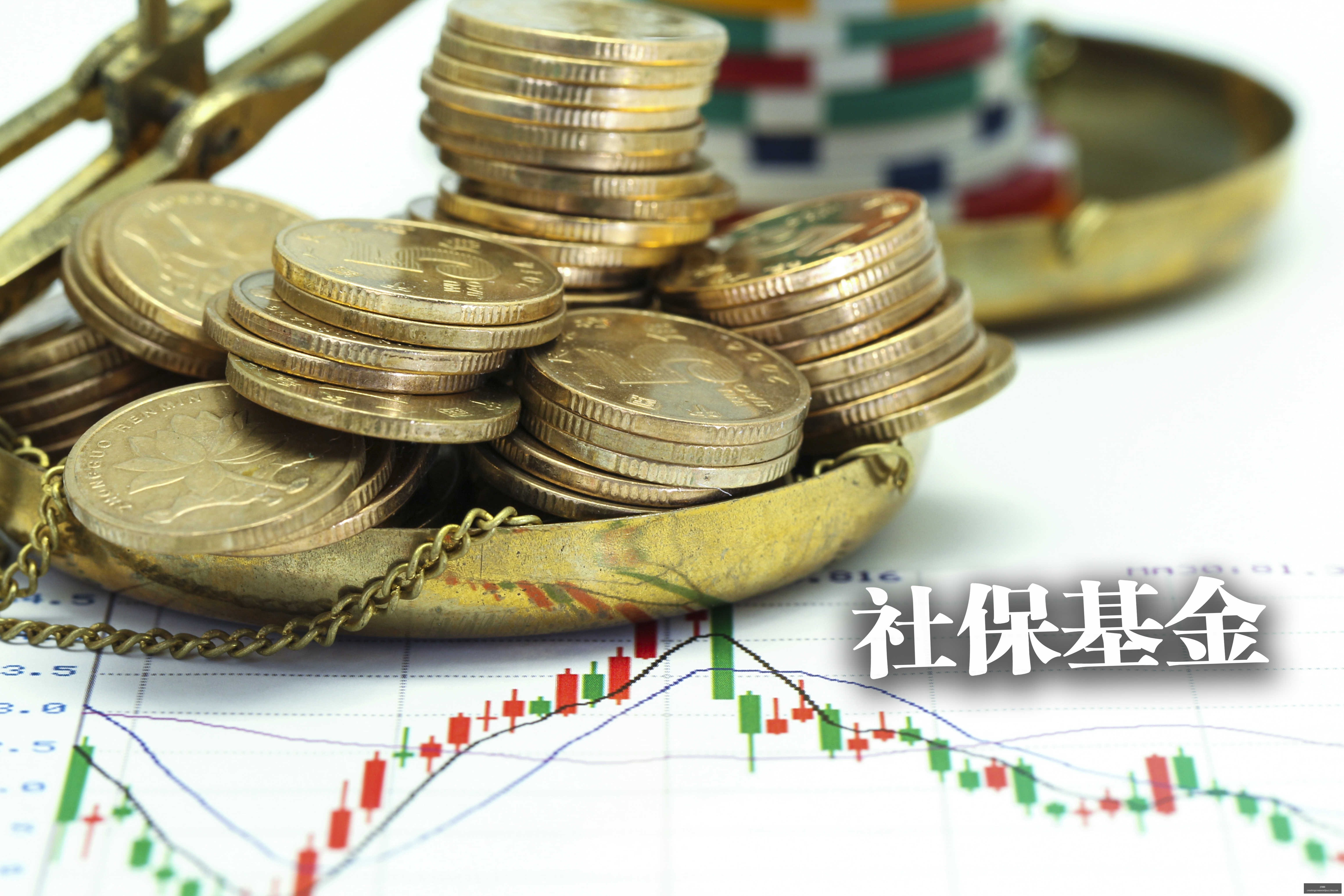 年度焦点战,黄蜂对决老,战况揭晓,j9九游会官网,j9九游会App,j9九游会下载,j9九游会登录,j9九游会平台