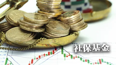 2026年度焦点战：黄蜂对决老鹰，战况揭晓